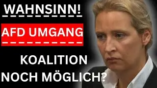 🚨WAHNSINN! Bundestags-Koalitionen unter der Lupe: Tradition, FDP und der SCHWIERIGE AfD-Umgang🚨