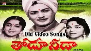 తోడు నీడగా ఉండే చల్లని పాటలు | NTR Thodu Needa Movie Back To Back Video Songs | Jamuna, Bhanumathi