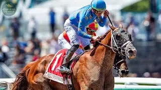Неожиданный результат Hollywood Gold Cup