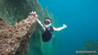 The Best of the Internet - Compilation 2020