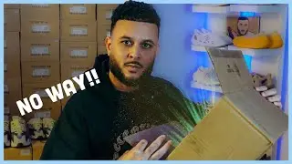 Turtle Doves this Weekend? + NEW YEEZY Revealed (Hype for These)