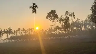 ভোরের আলো।। New Bangla Music Video।। রিয়াদ তালুকদার।। প্রত্যাবর্তণ! মিউজিক স্টুডিও।। 