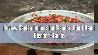 Review Ganiza Immersion Blender, 6 in 1 Hand Blender Stainless Steel Blade, 15 Speed Stick Blender E