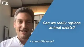Can we really replace animal meats?