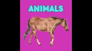 The Wonderful World of Animals (#youtubekids #education #earlylearners)