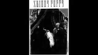 Skinny Puppy - Harsh Stone White (Slowed+Reverb)