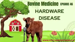 EP 46: Hardware Disease in Cattle | Causes, Diagnosis & Prevention Explained | Pet Care Partners