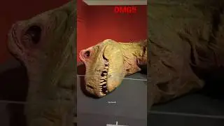 Dinosaurs in Movies Are Completely Wrong! Real Look & Sounds Revealed #dinosaur #earth  #science