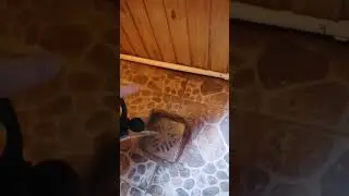 Как устранить сложный засор. Прочистка канализационных труб. #канализациявчастномдоме