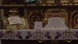O cnocie GORLIWOŚCI (pracowitości) i grzechu LENISTWA [76/200], Kazanie, Ks. Dawid Pietras