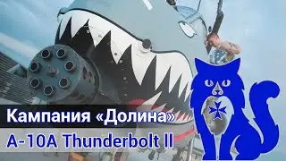 A-10A Thunderbolt II - Кампания 