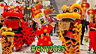 🔴CNY 2025 | ATRAKSI LION DANCE @ PAKUWON MALL BEKASI | BARONGSAI AI JIA