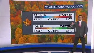 Ask the Meteorologist: What's behind the fall color change?