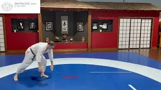 Mae Ukemi (Forward roll) - 6kyu test