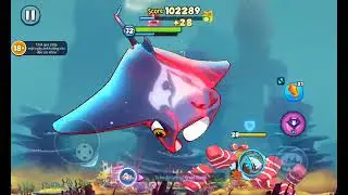 Infinitief of feast! FiSh eat fish i.o