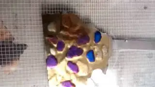 Anodizing Niobium