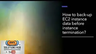 How to back-up EC2 instance data before instance termination?