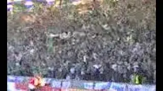 green and white army