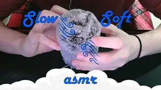 🐌 SLOW and SOFT ASMR Tingles to help you fall asleep! 🐌