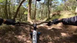 Mapleton DH // Bottom Section