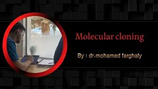 Molecular cloning