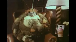Man Bitten By 24-hour Bug (Pepto-Bismol): Vintage old TV ad commercial 1970s