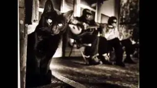 Blues - Steven Cosaro