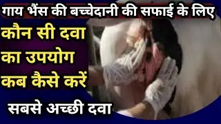 गाय भैंस की बच्चेदानी की सफाई के लिए कौन सी दवाओं का उपयोग करें?||Veginal Dressing Medicine
