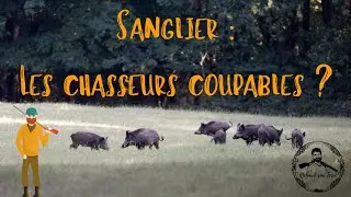 Sanglier : Surpopulation, &agrave; qui la faute ?
