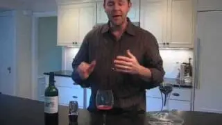 Product Review: Vinturi Wine Aerator