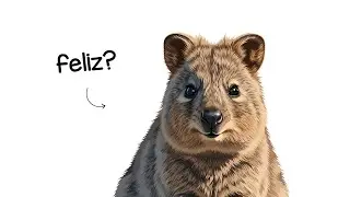 Porque é HORRÍVEL nascer como uma Quokka ?