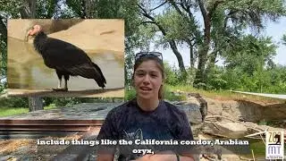 National Zookeeper Week 2021: Zookeepers & Conservation