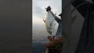 light jigging😱 #fishing #youtube #shorts #shortvideo #viral #viralvideo #viralshorts