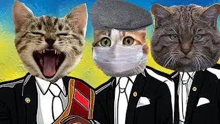 Funny Cat Whack a Mole Challenge - Coffin Dance Song (COVER) - Cats USA