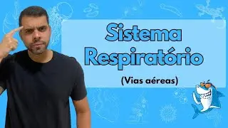 Anatomia e Fisiologia Humana - Aula 5 - Sistema Respiratório - Vias aéreas e hematose