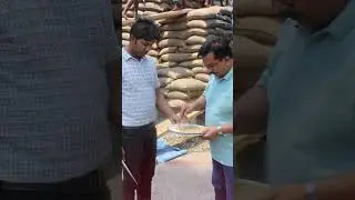 FCI&rsquo;s Mission: Building a Food-Secure India, One Grain at a Time || Food Corporation of India