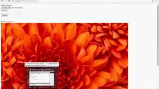 upload and view photo in database
