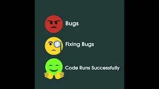 Developers life 😄            Bugs 👉 Fixing Bugs 👉 Code Runs Successfully .