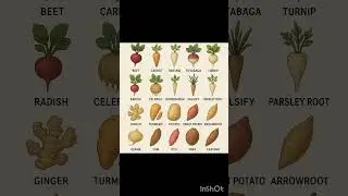 Root vegetables name #youtubeshorts #english #education