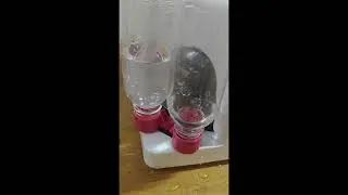 12 egg incubator 7 day automatic water refill observation #incubator #chicken #egg #incubatingeggs