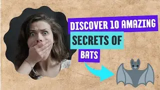 Amazing Secrets of Bats: The Mysteries of Flying Mammals