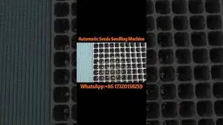 Fully Automatic Vegetable Seedling Machine with Watering Function - Efficient Nursery Solution