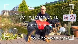 Die Schwimmweste für den Hund