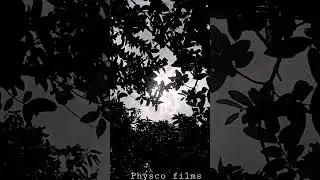 #naturephotography #cinematography #physcofilm.