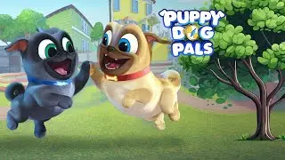 🐶 Puppy Dog Pals Obstacle Run &ndash; Amazing Adventure! 🏃&zwj;♂️✨
