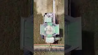 #music #farmraised #farmingtractor #farm #agriculture