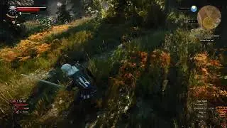 Witcher 3 Pt. 3