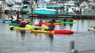 KAYAK TOUR OF MISSION BAY!