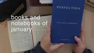 books & notebooks of january | lots of md notebooks, hobonichi weeks, and a tab-less filofax