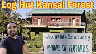 Kansal Forest | Unexplored Places In chandigarh | NIC | Chandigarh Wala